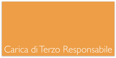 Terzo responsabile